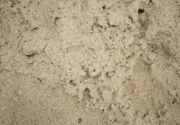 Play Sand