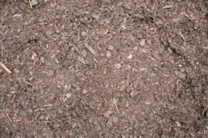 Composted Bark