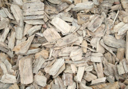 Pathway Chips
