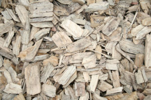 Pathway Chips