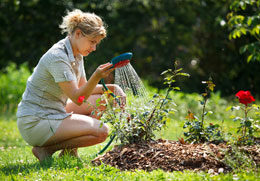 Mulches