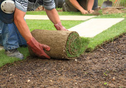 Turf