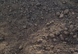 Sand/soil mix