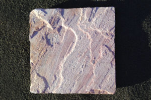 Sandstone Camel