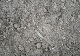 Brown Soil