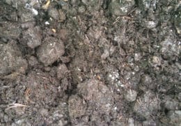 Mushroom compost Cambridge – from Madingley Mulch