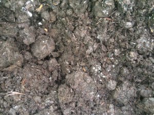 Mushroom compost Cambridge – from Madingley Mulch