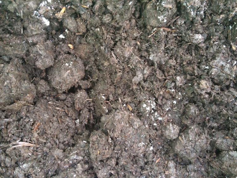 Spent Mushroom Compost Buy Compost Madingley Mulch