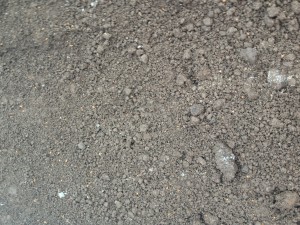 Black Fen Soil