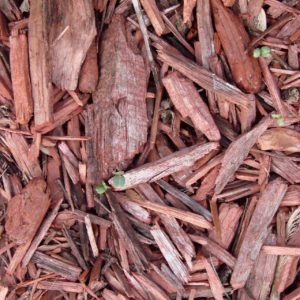 mulch-70901_1280