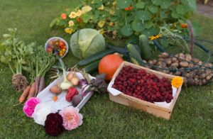 autumn-915632_1280