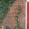Garden trellises Cambridge – supplied by Madingley Mulch