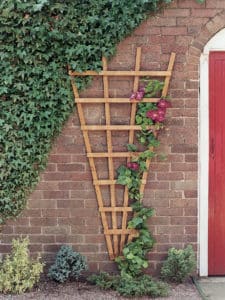 Garden trellises Cambridge – supplied by Madingley Mulch