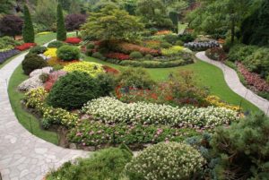 curved garden