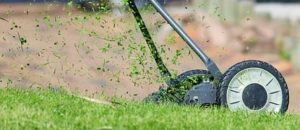 lawn, grass, cutting, green