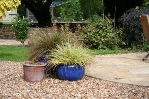 patio plants, planters