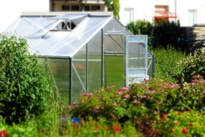greenhouse Hertfordshire