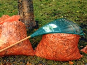 garden rake, lawn top dressing bedfordshire