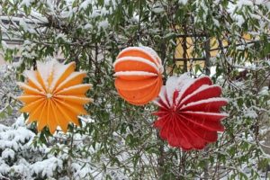 winter garden supplies, decorations, essex