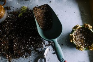 soil improver cambridge