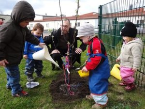 soil conditioners bedfordshire, junior gardening