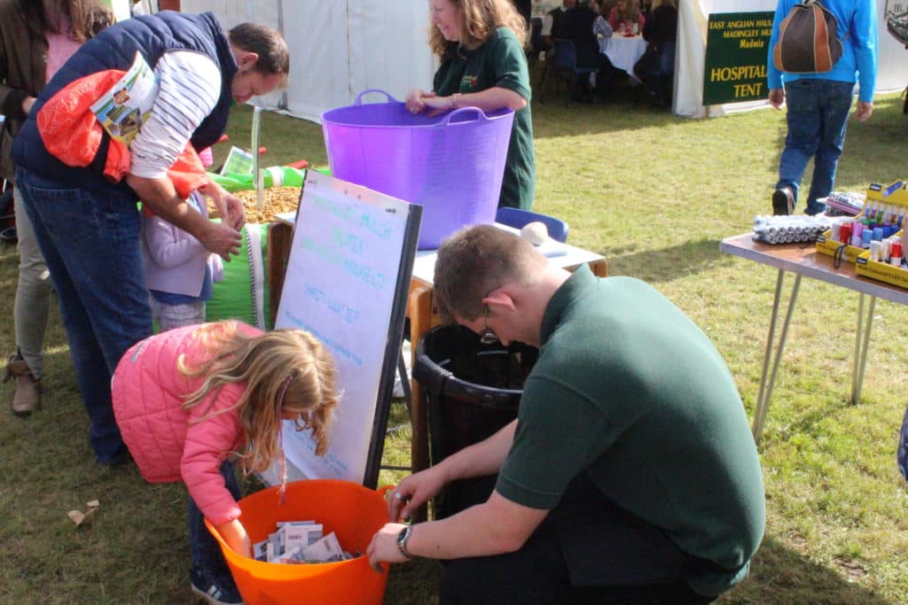 lucky dip, Gransden Show, Cambridgeshire