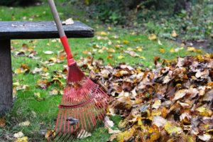 Compost suppliers Essex, raking leaves