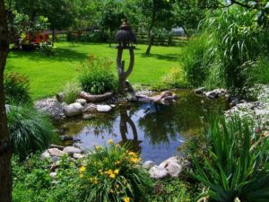 soil improver