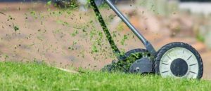 turf care lawn mowing