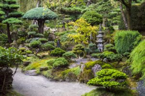 Decorative Stones Essex - Photo of a japanese-style garden