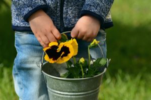 Play Bark Essex - Image of a child carrying a plant, planted in a bucket