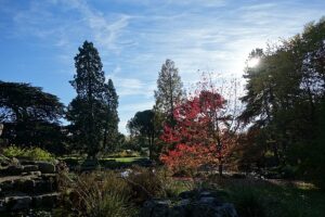Outdoor gardening supplies Cambridge – Cambridge University Botanic Gardens