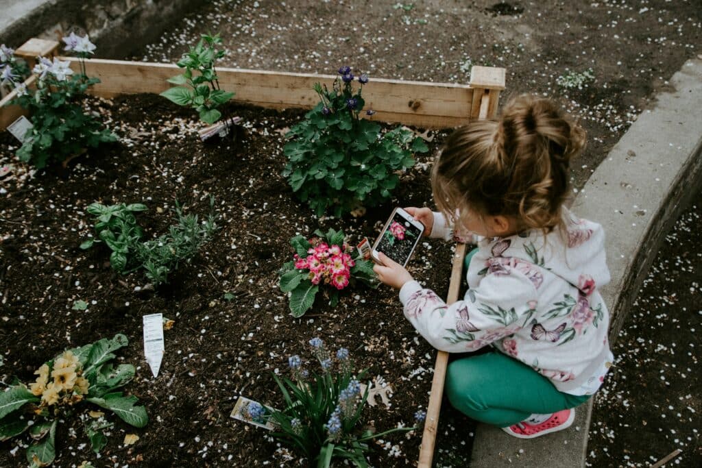 play sand Cambridge – supplied by Madingley Mulch
