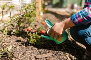 Garden bark chips Cambridge – from Madingley Mulch