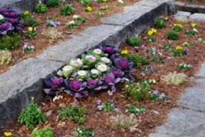 Bark mulch suppliers Essex – Madingley Mulch