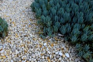 Gravel for gardens Cambridge – from Madingley Mulch