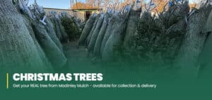 Christmas trees are available for delivery and collection from Madingley Mulch