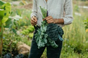 Spent mushroom compost Suffolk – from Madingley Mulch