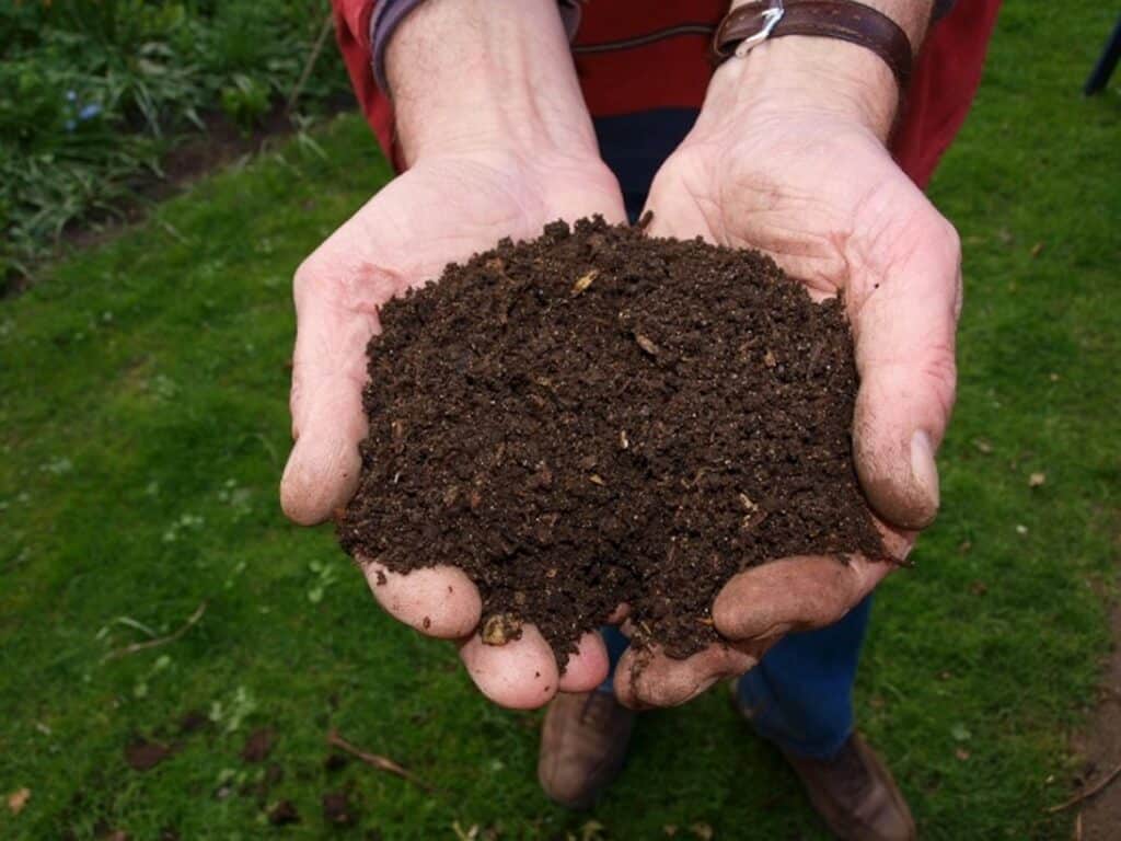 Soil conditioners Cambridge – supplied by Madingley Mulch 