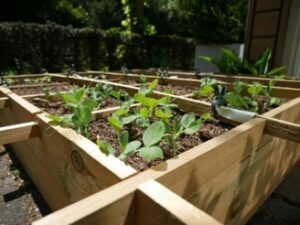 Gravel Suppliers Cambridge | Five Weekend Garden Projects