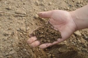 Topsoil suppliers Cambridge – Madingley Mulch