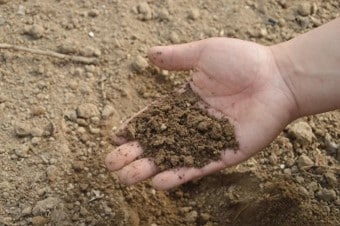Topsoil suppliers Cambridge – Madingley Mulch